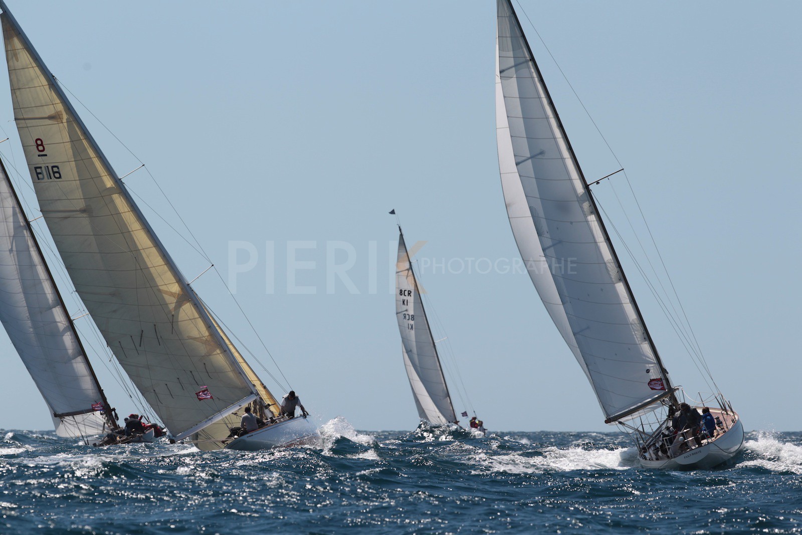 Palynodie et Rainbow