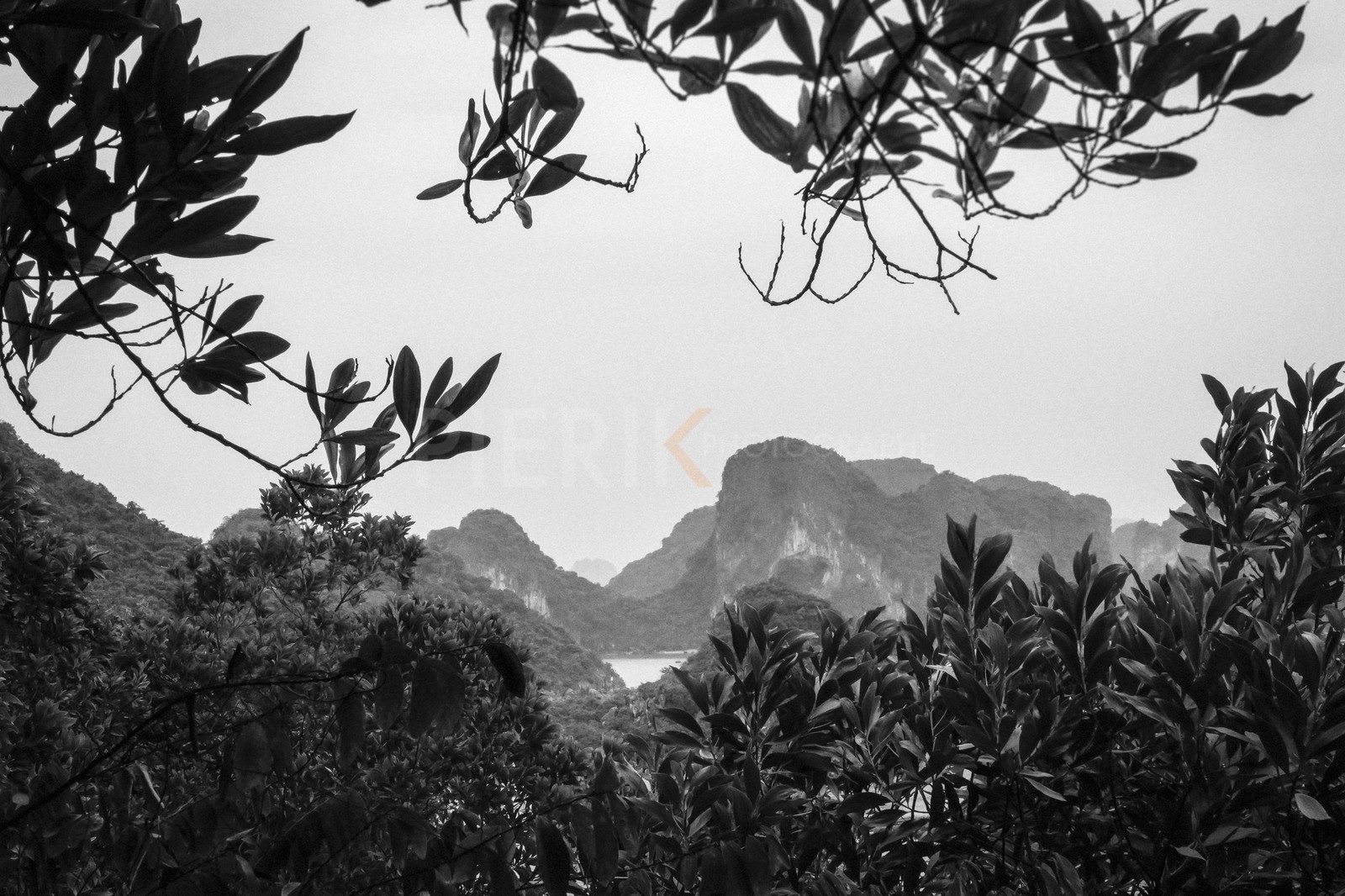 Halong bay-4.jpg
