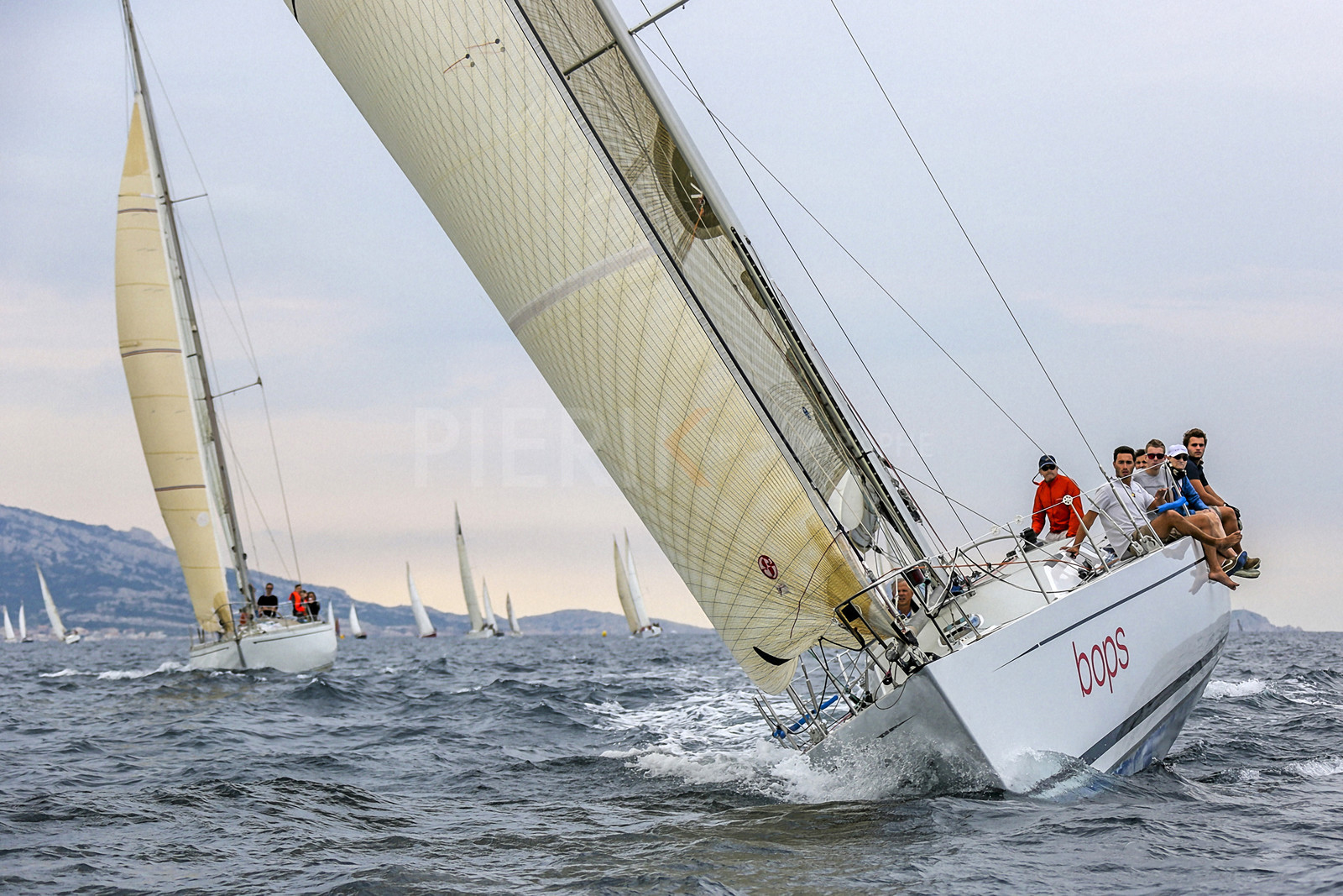 VireVire2014-156.jpg VireVire2014-156.jpg