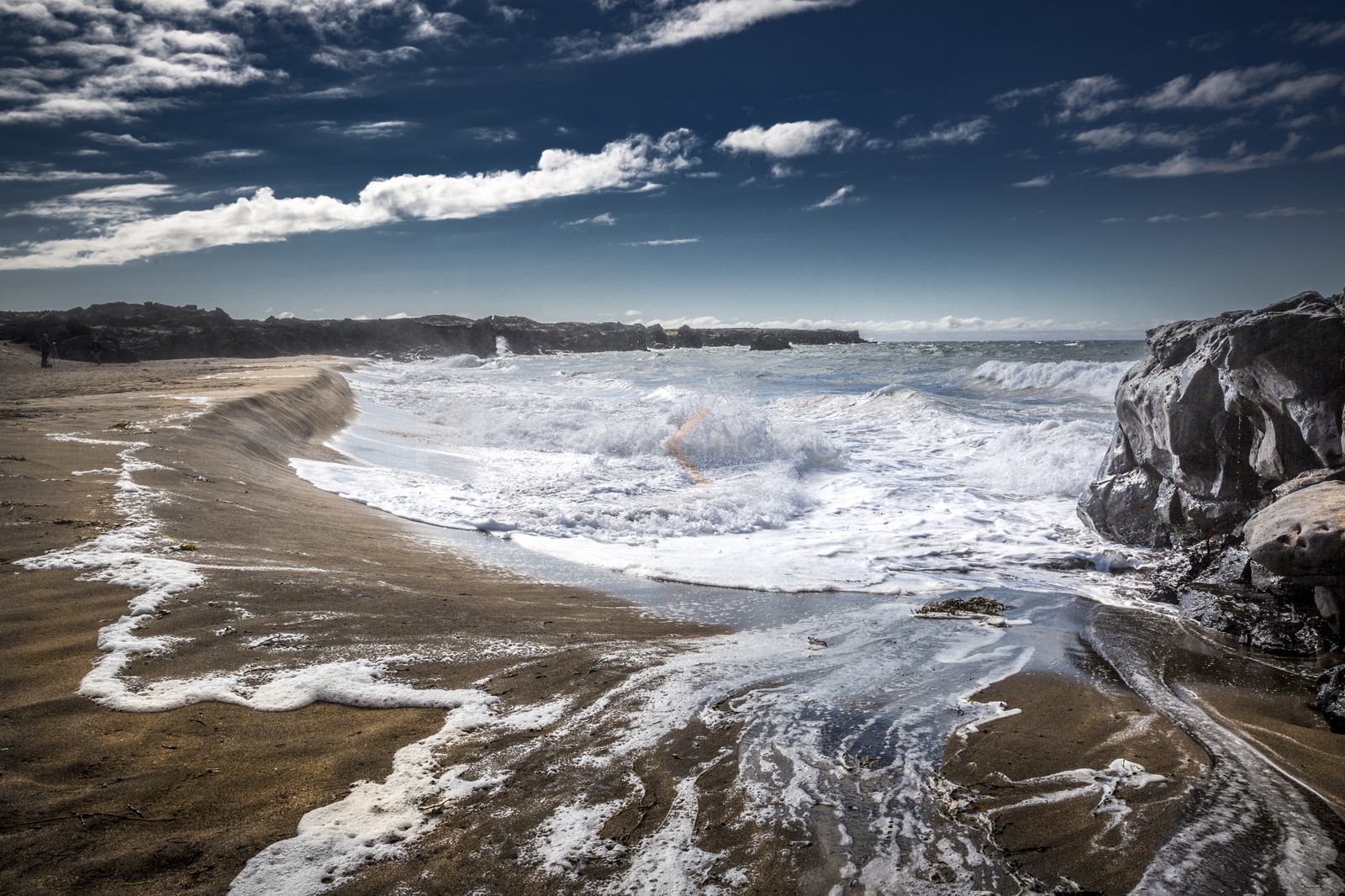 O60A3625.jpg O60A3625.jpg