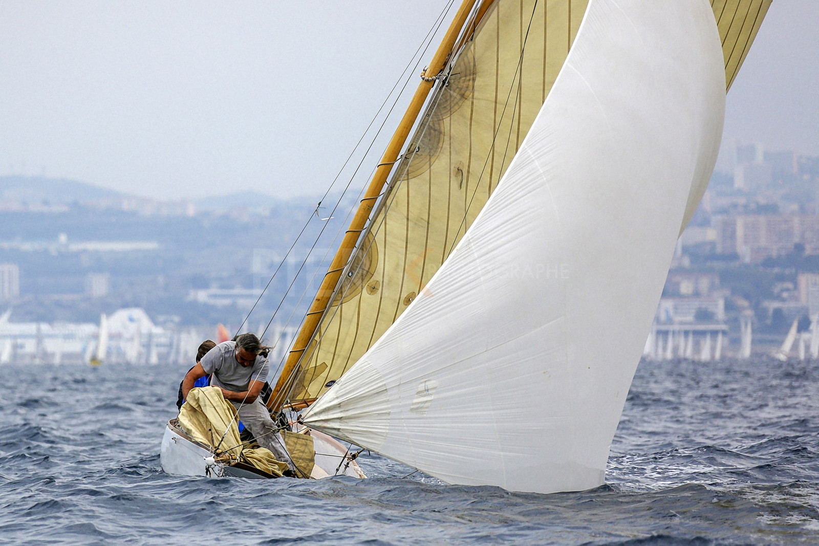 VireVire2014-223.jpg