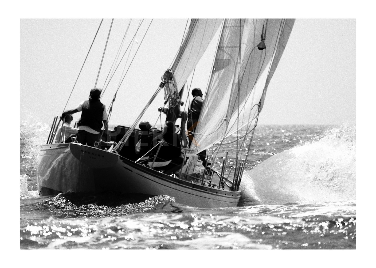 Nagaina dans le creux de la vague