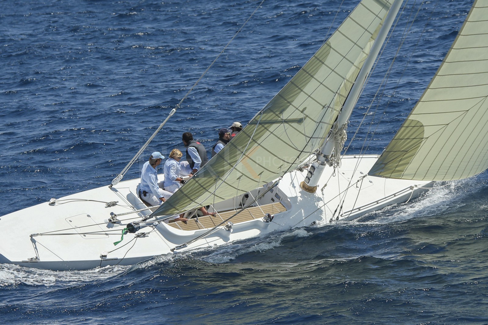 A29X1544.jpg