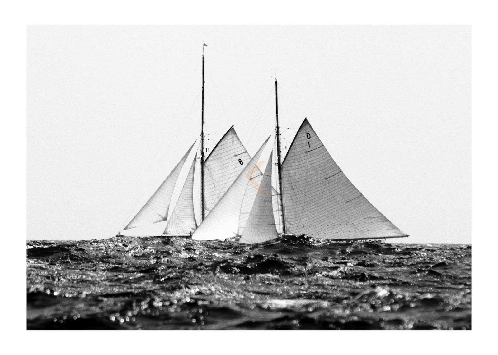 Mariska et Moonbeam IV