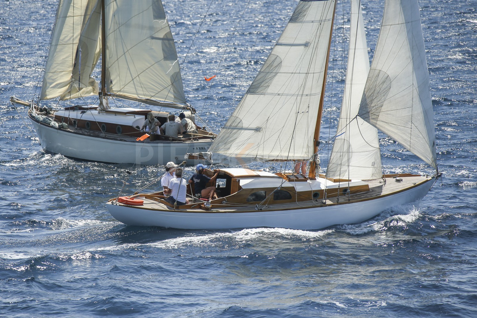 A29X1446.jpg