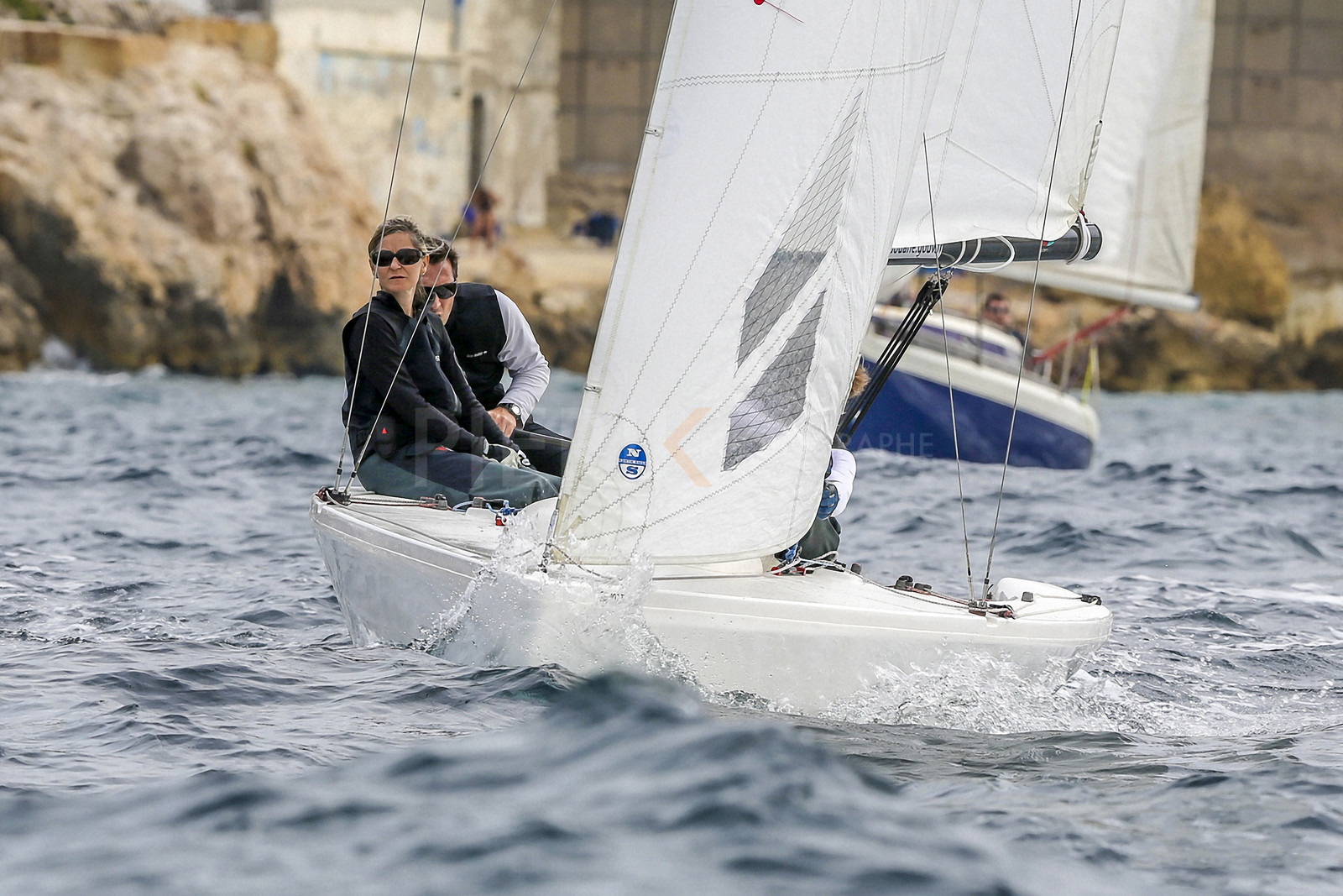 VireVire2014-35.jpg