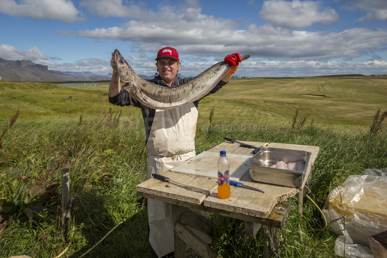 O60A3917.jpg O60A3917.jpg