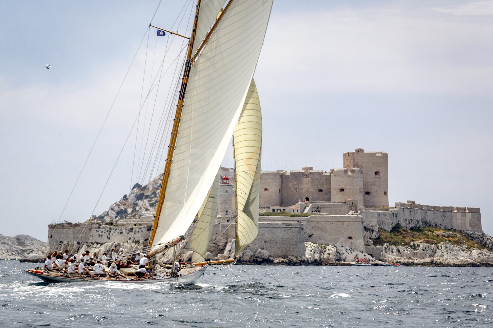 PIJ_0459-2.jpg