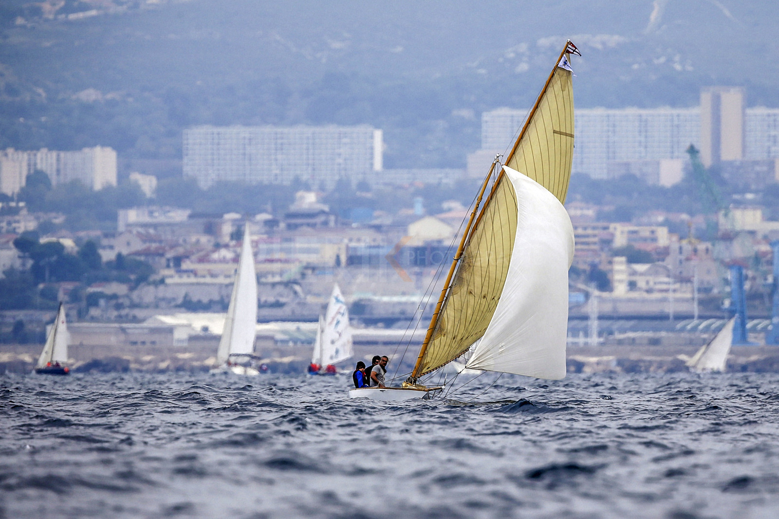 VireVire2014-136.jpg