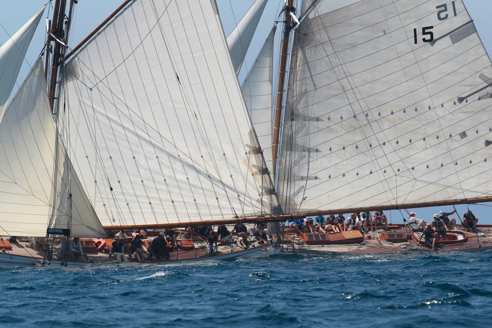 Partridge vs Nan of Fife