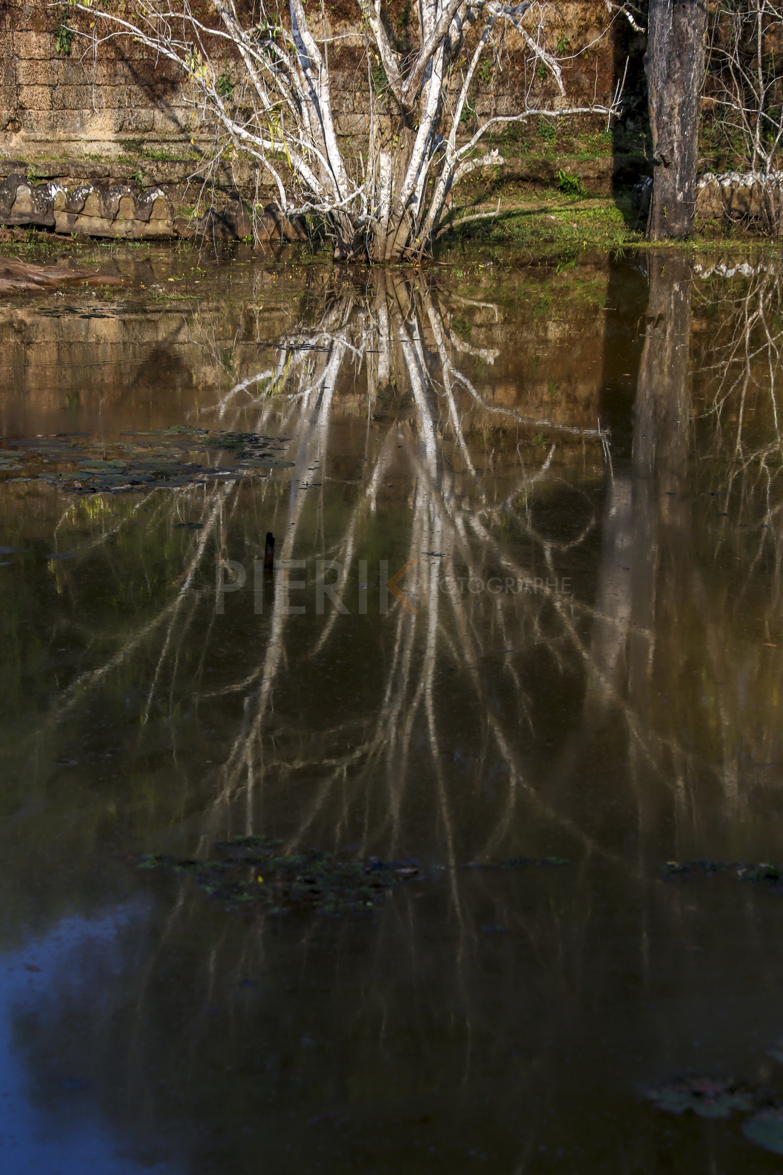 07122013-BL6A0770.jpg