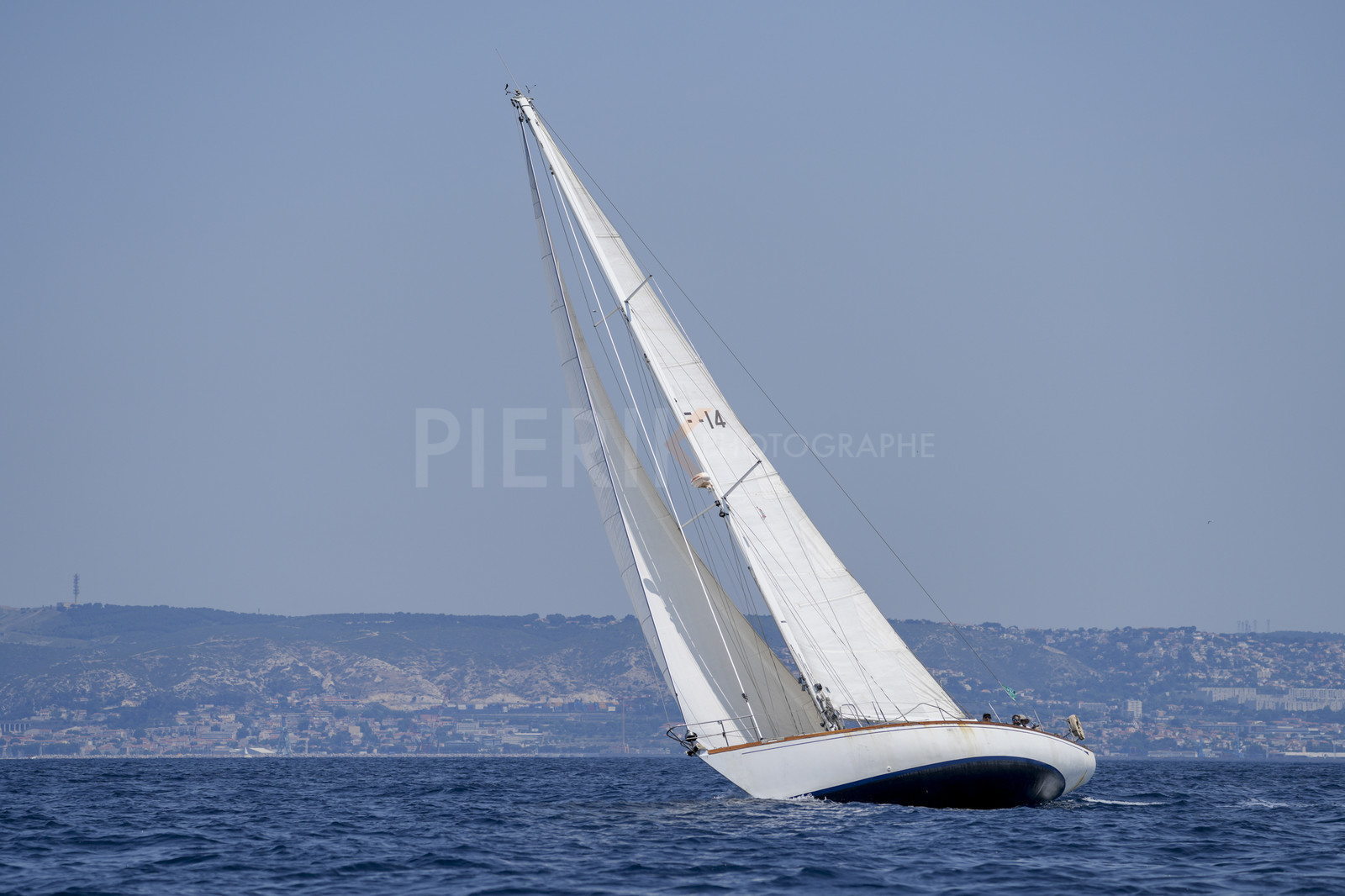 VVP_2023-07664.jpg
