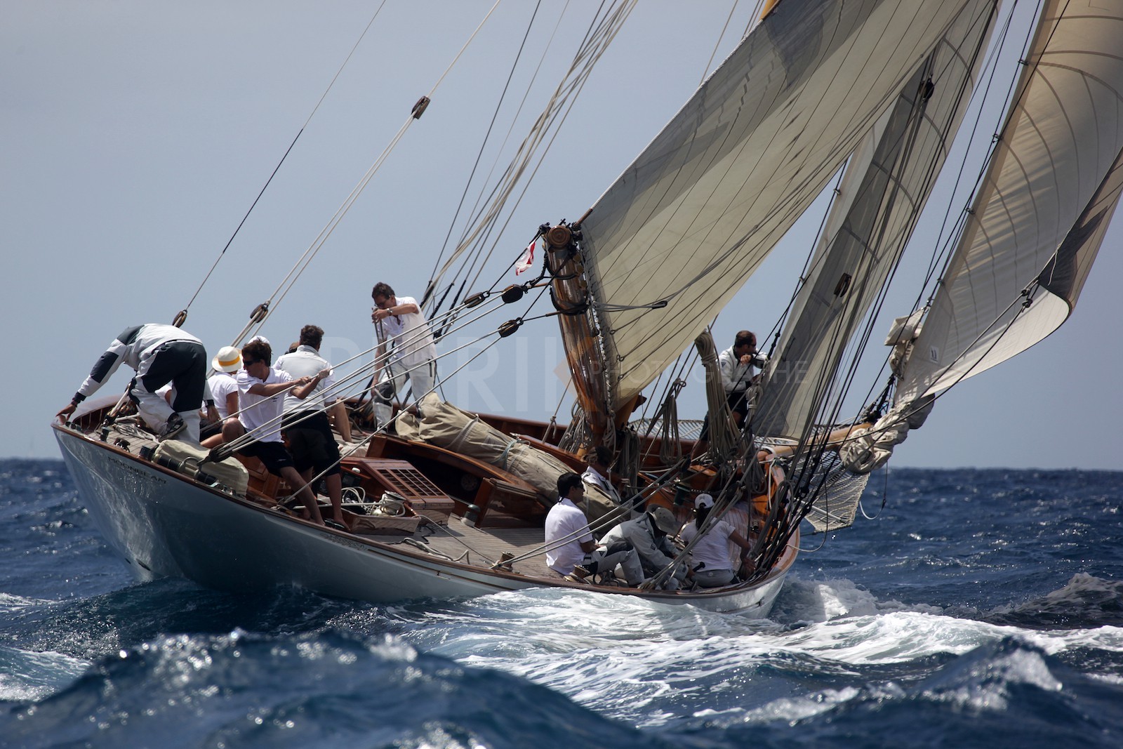 Moonbeam of Fife, Barcelona 2012