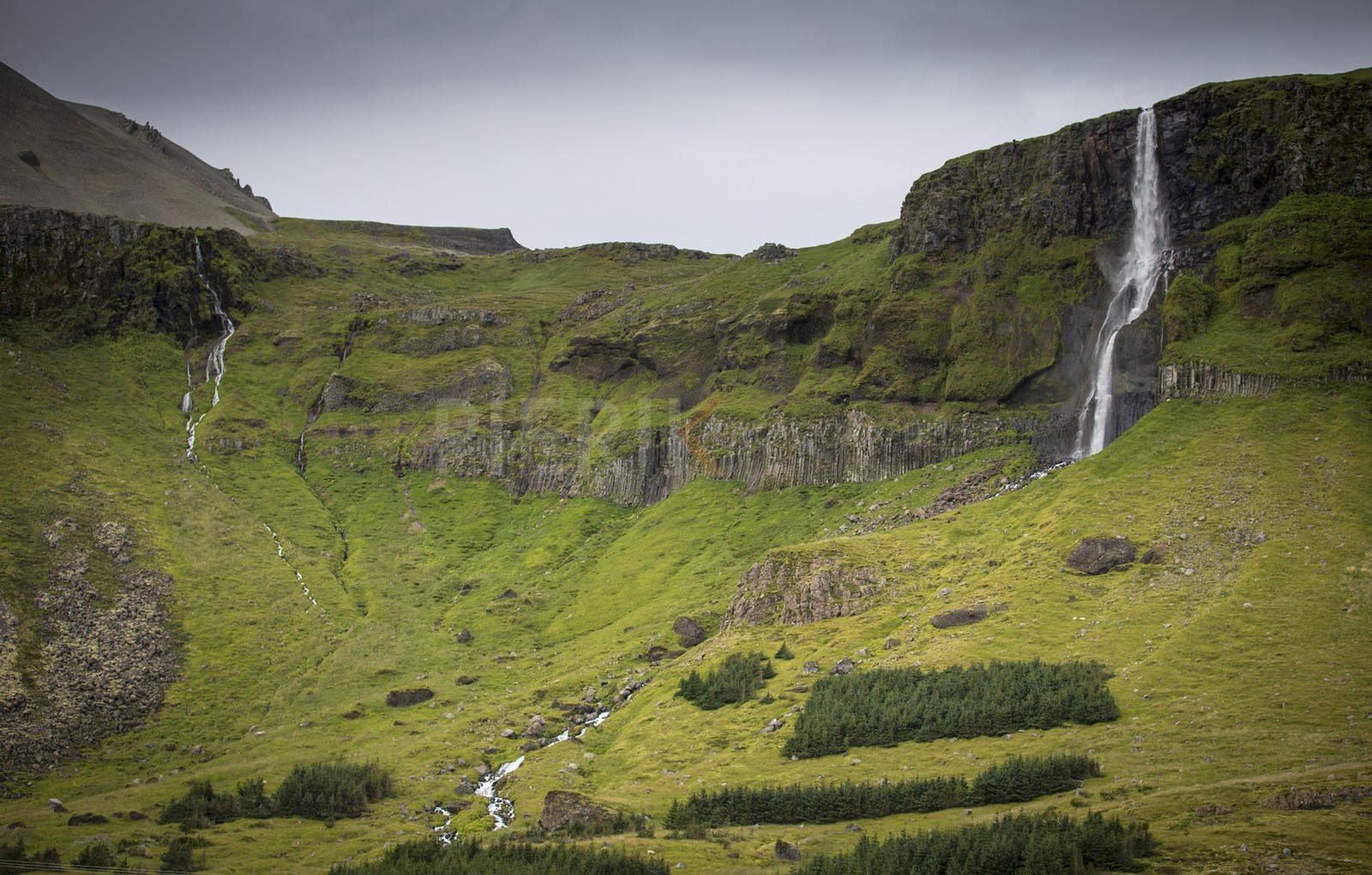 A29X3745.jpg A29X3745.jpg