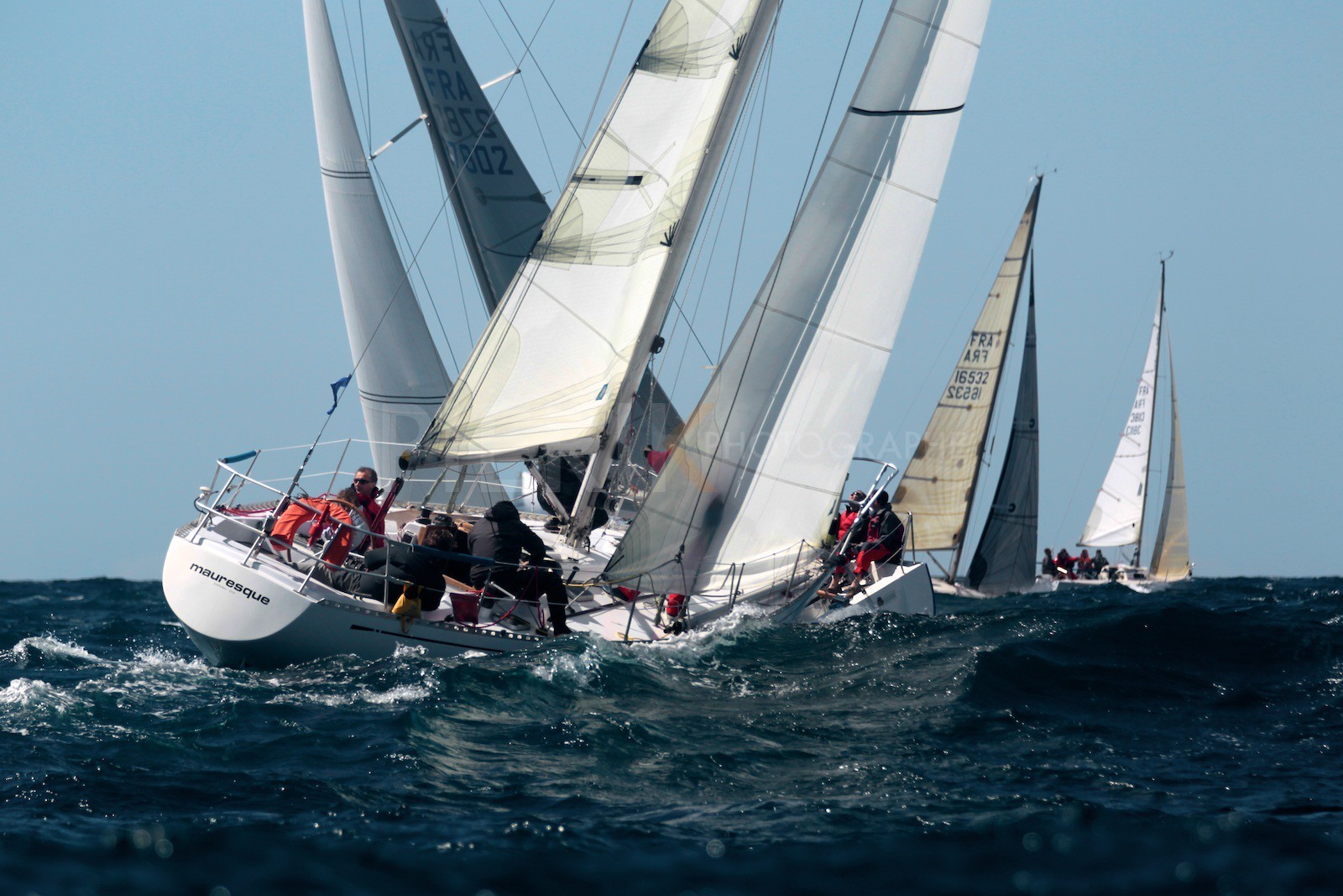 Mauresque croise Godzilla