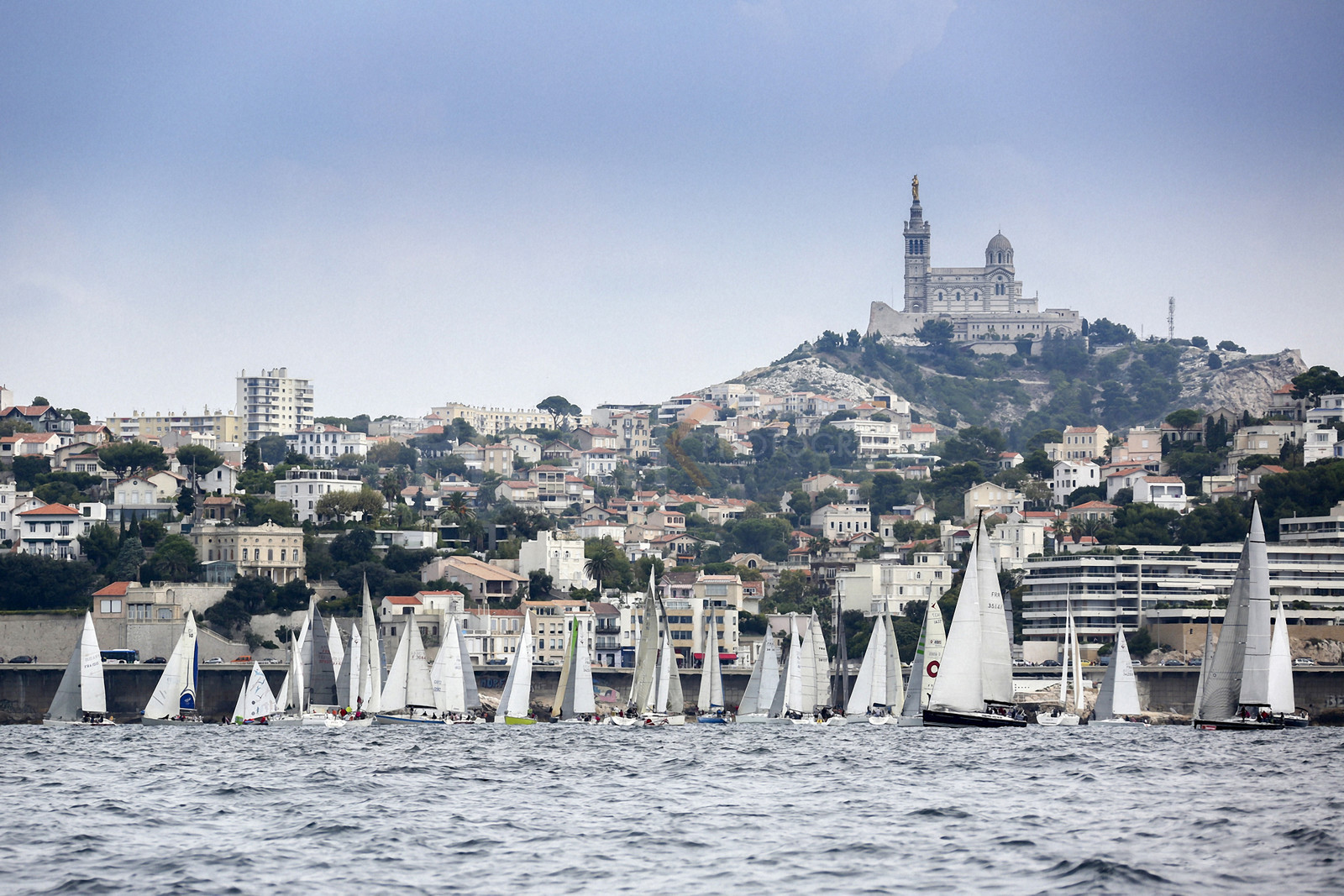 VireVire2014-68.jpg