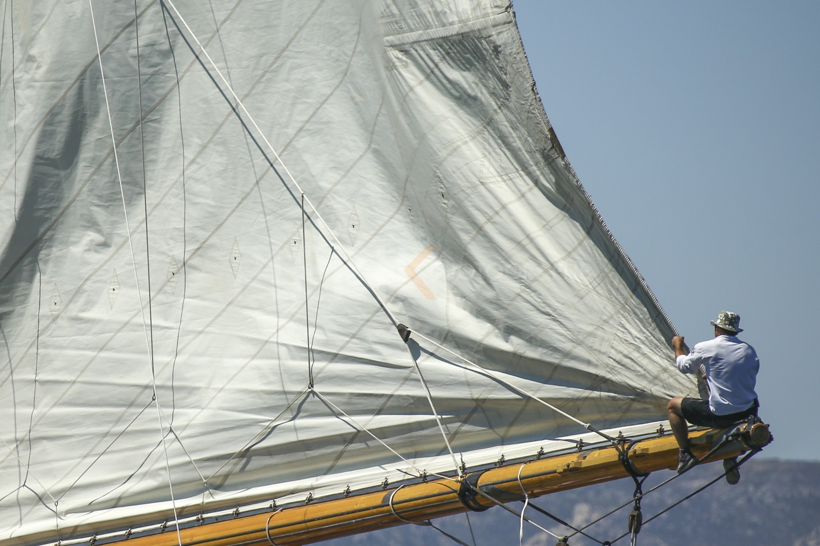A29X1122.jpg