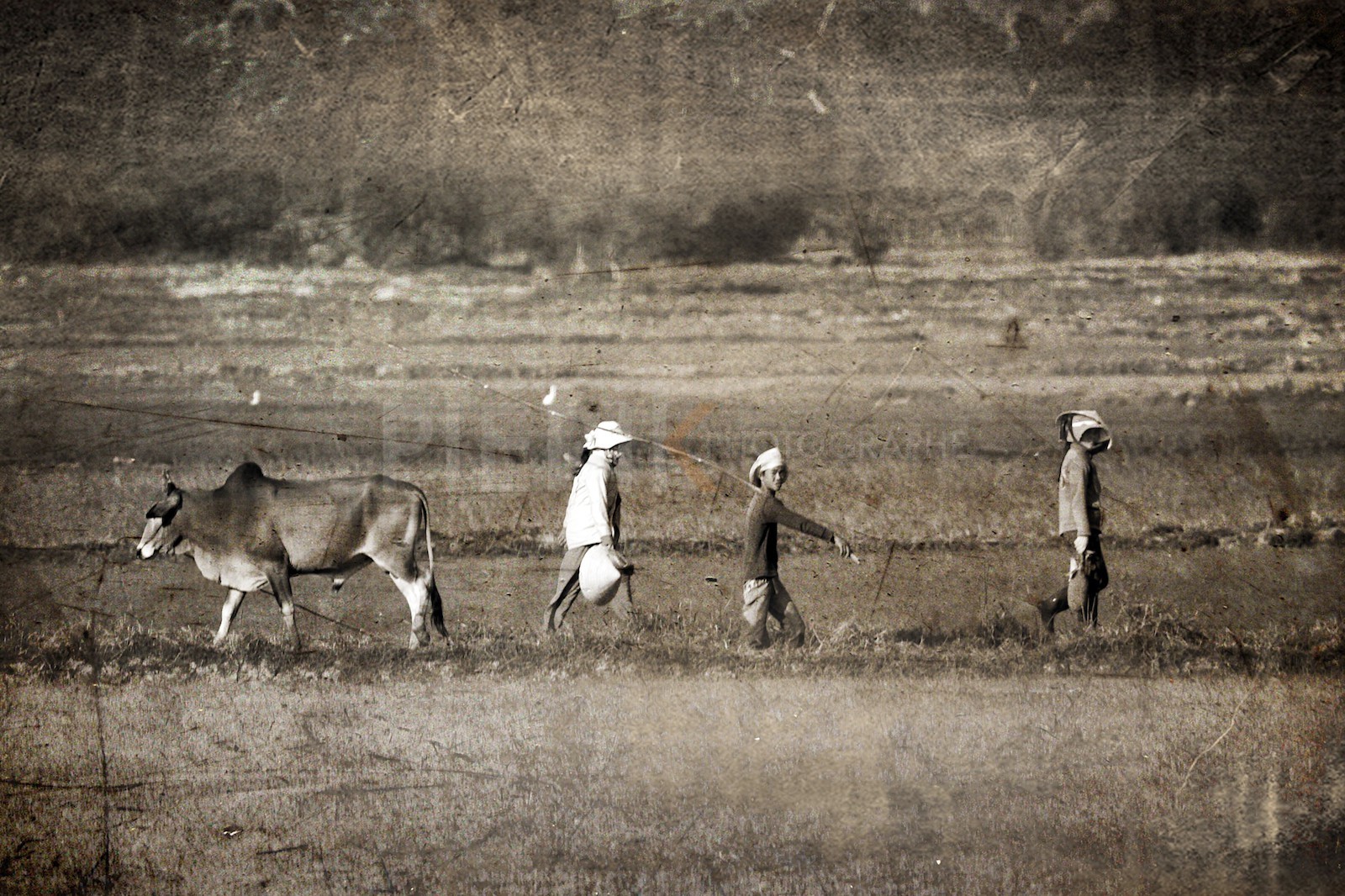 Fermiers dans les champs Fermiers dans les champs