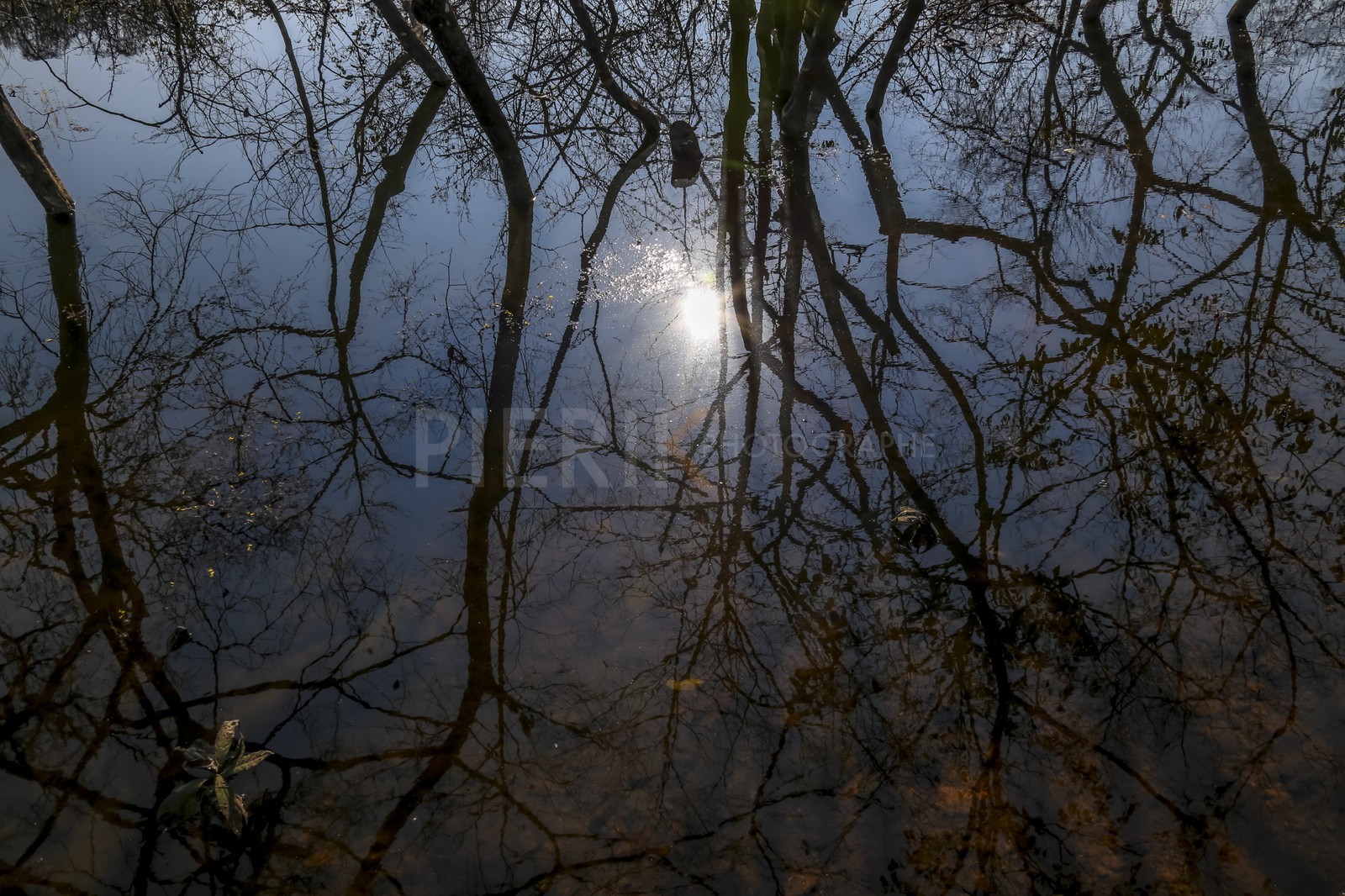 07122013-BL6A0789.jpg