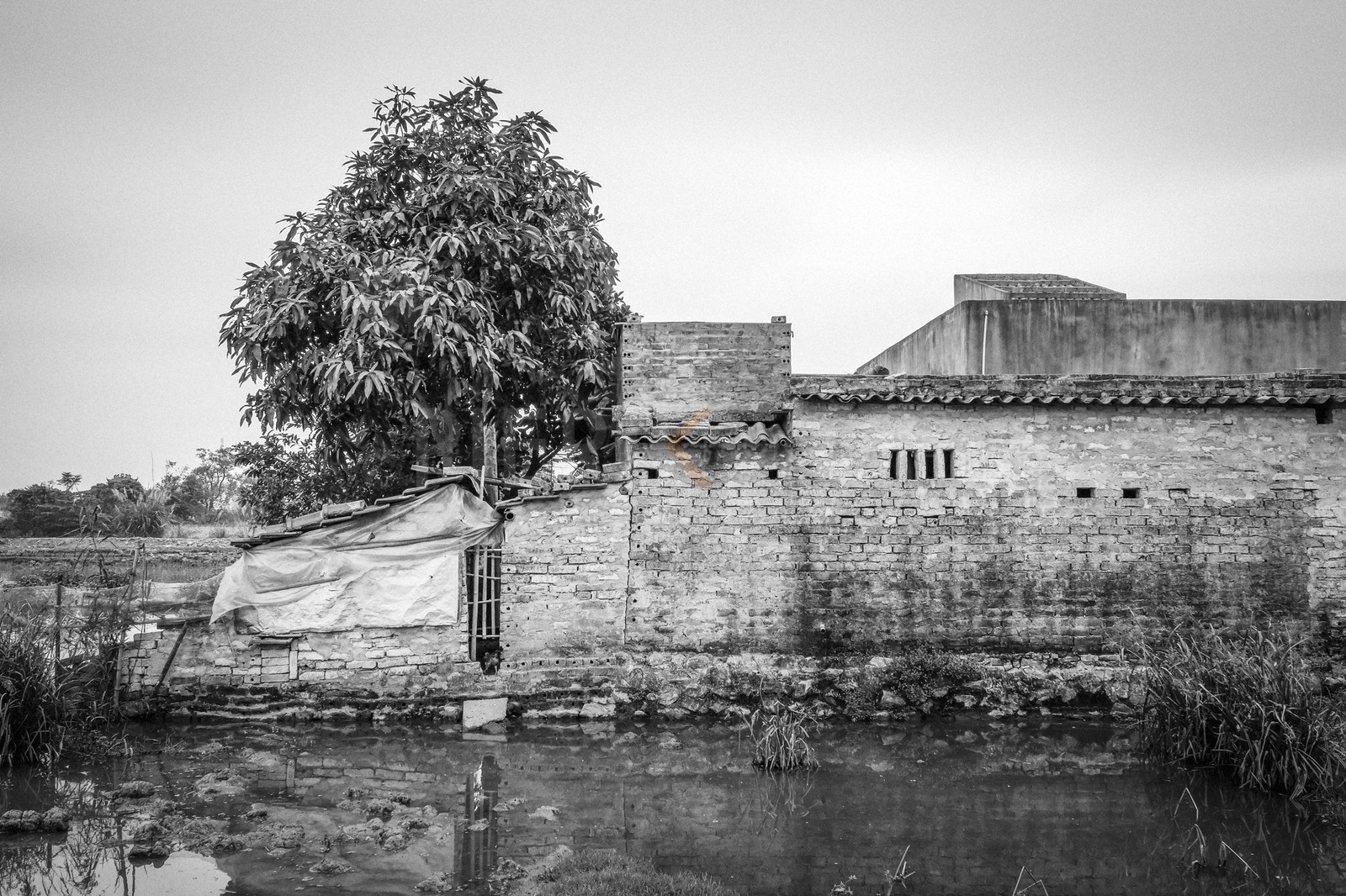 Tam Coc-5.jpg