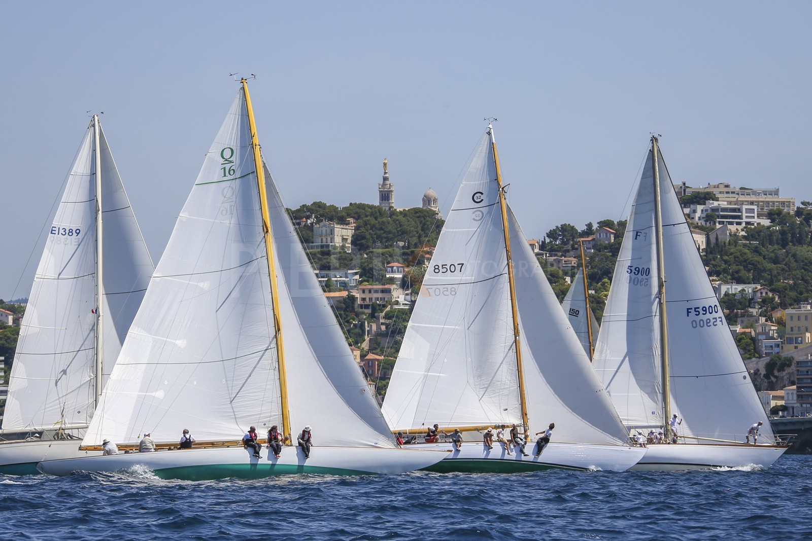 A29X2122.jpg