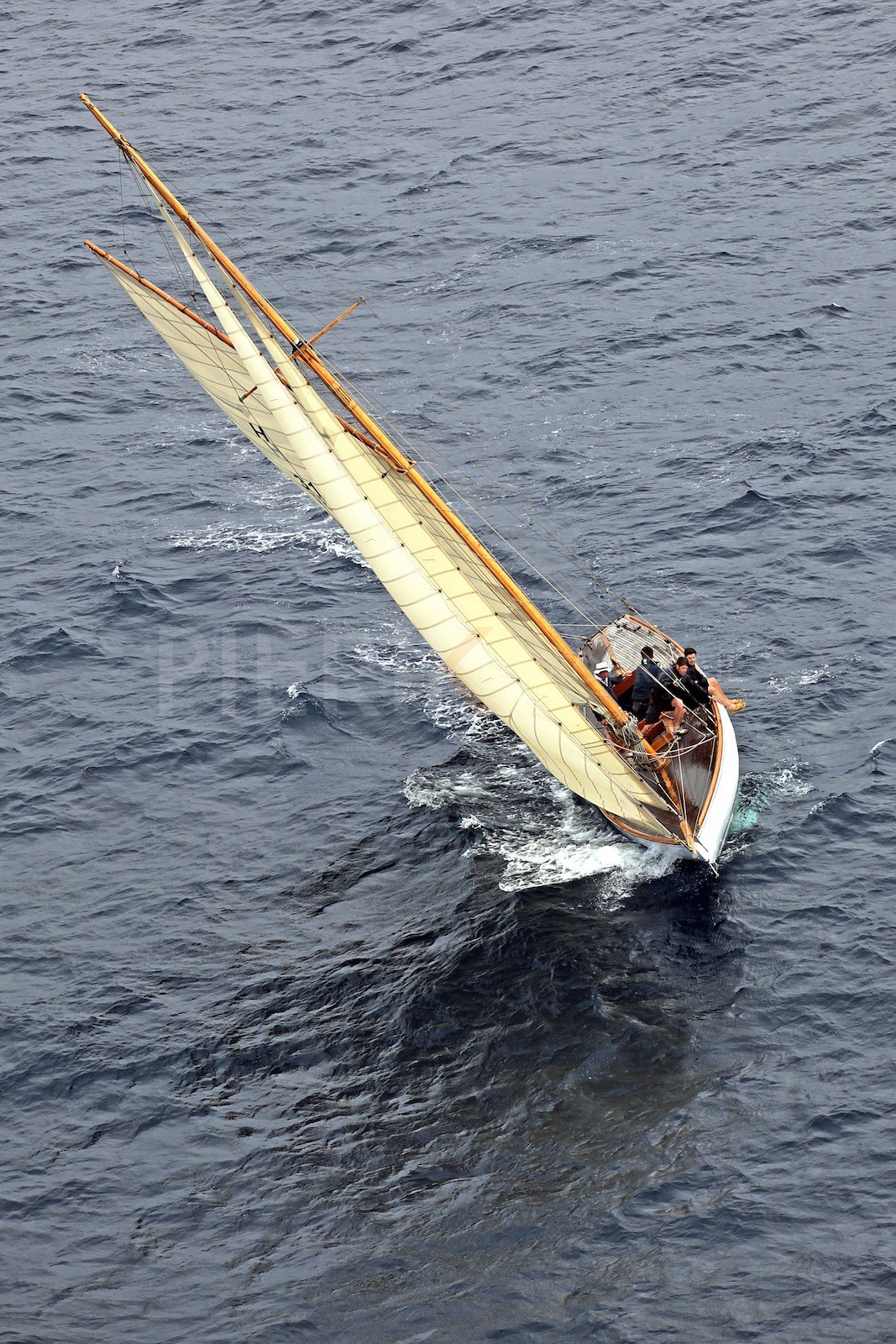 Estérel