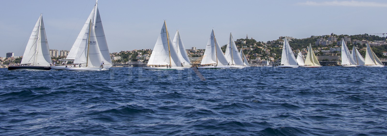 A29X2120.jpg