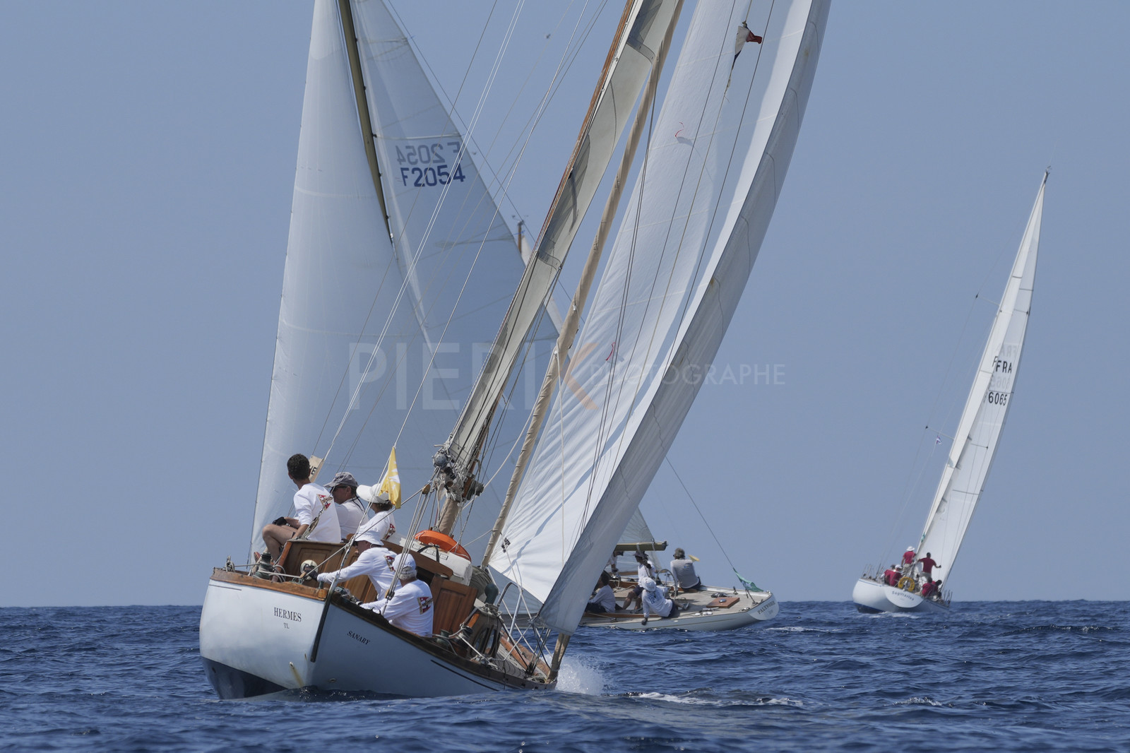 VVP_2023-07524.jpg