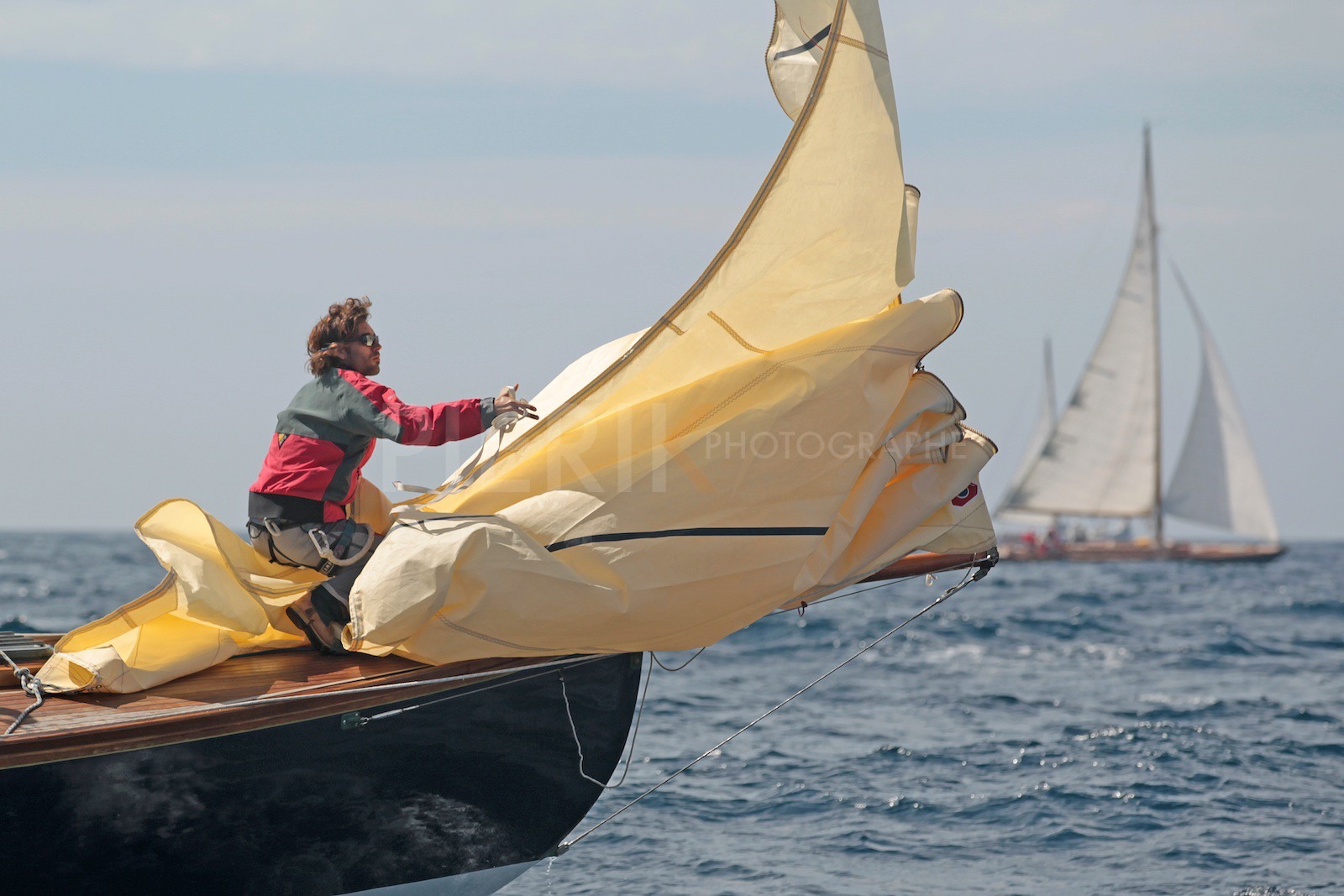 Windhover