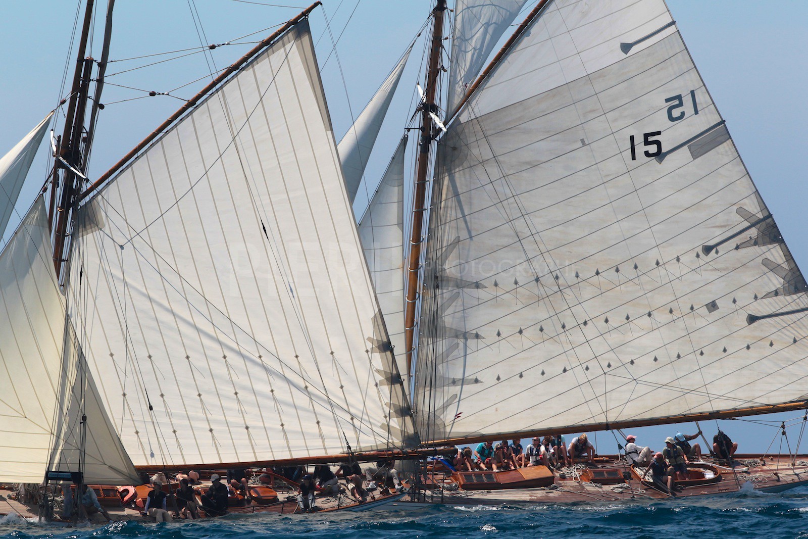 Partridge vs Nan of Fife