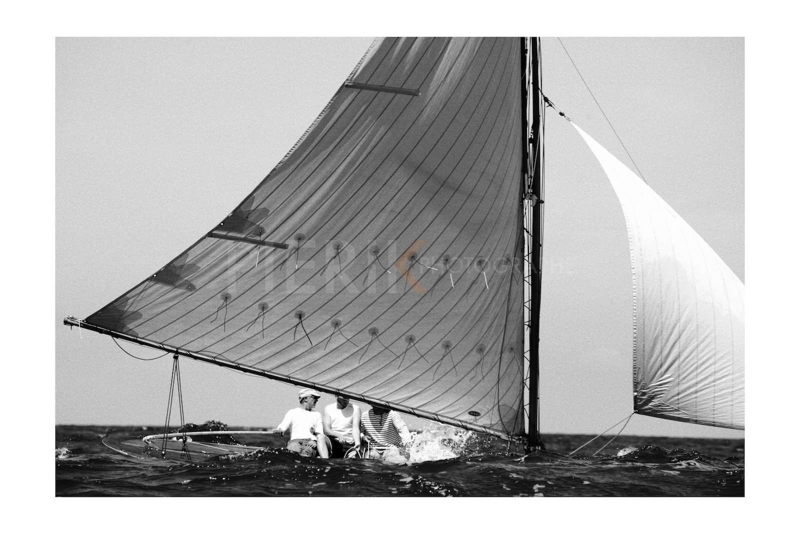 Le Lézard dans la vague