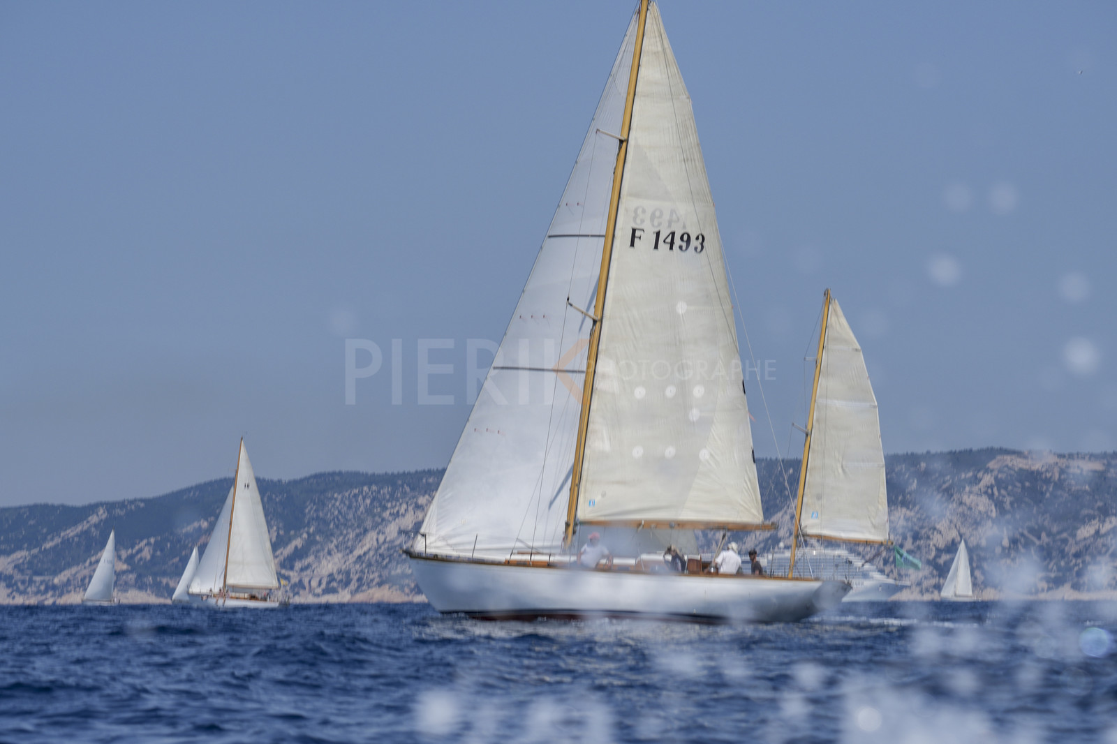 VVP_2023-07515.jpg