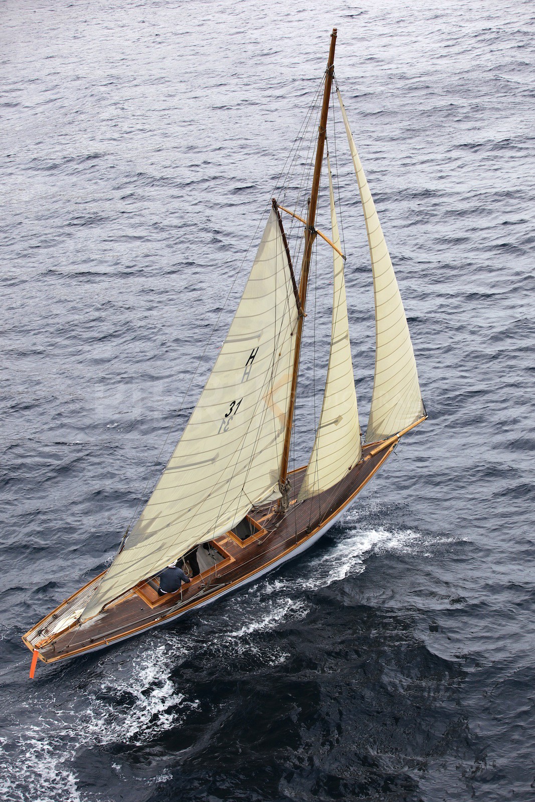 Estérel