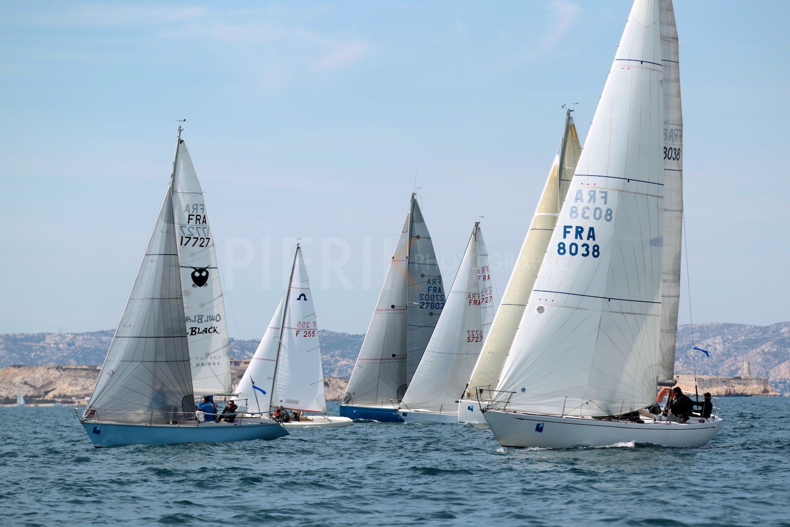 Bluesy owlblock devant Fantôme