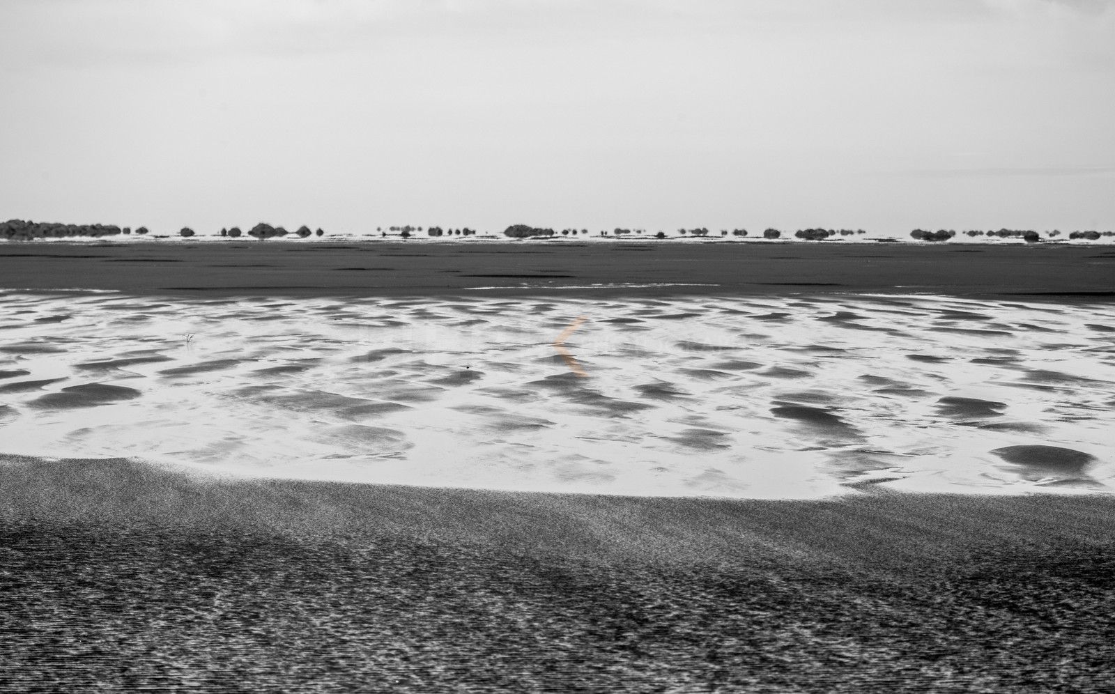 A29X4842.jpg