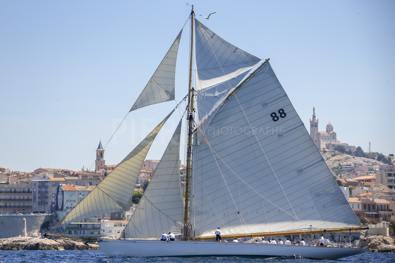 A29X0054.jpg