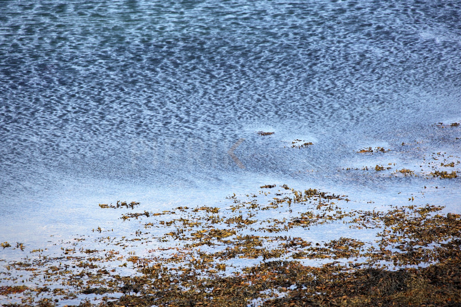 Vent sur l'eau