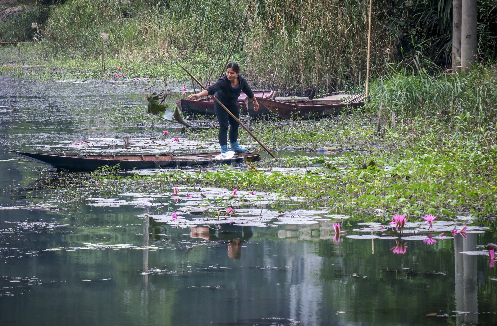 Tam Coc-28.jpg