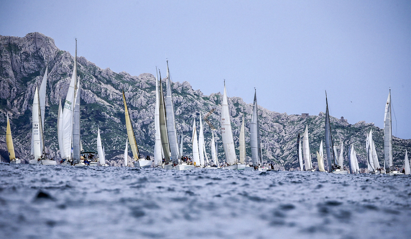 VireVire2014-292.jpg