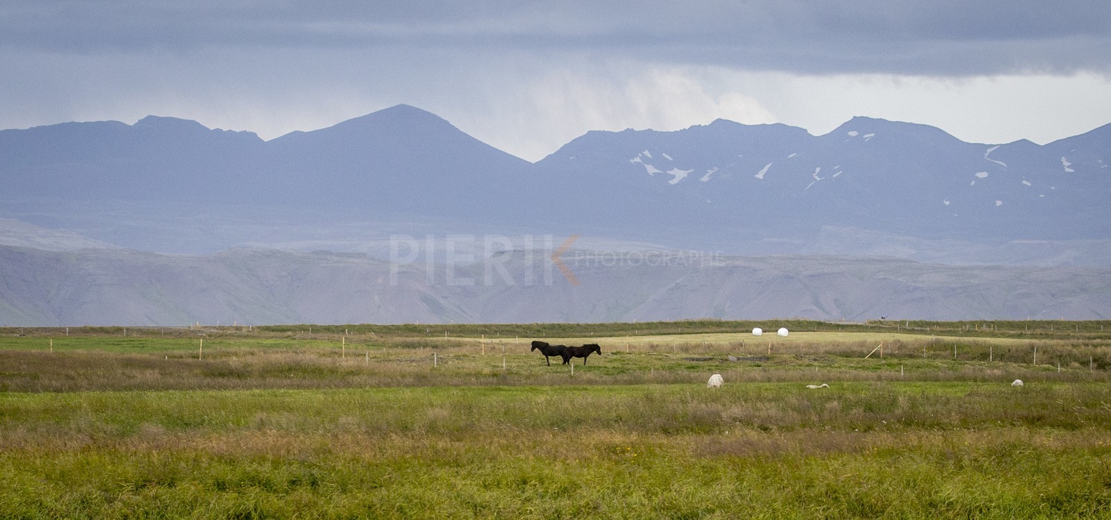 A29X3799.jpg A29X3799.jpg