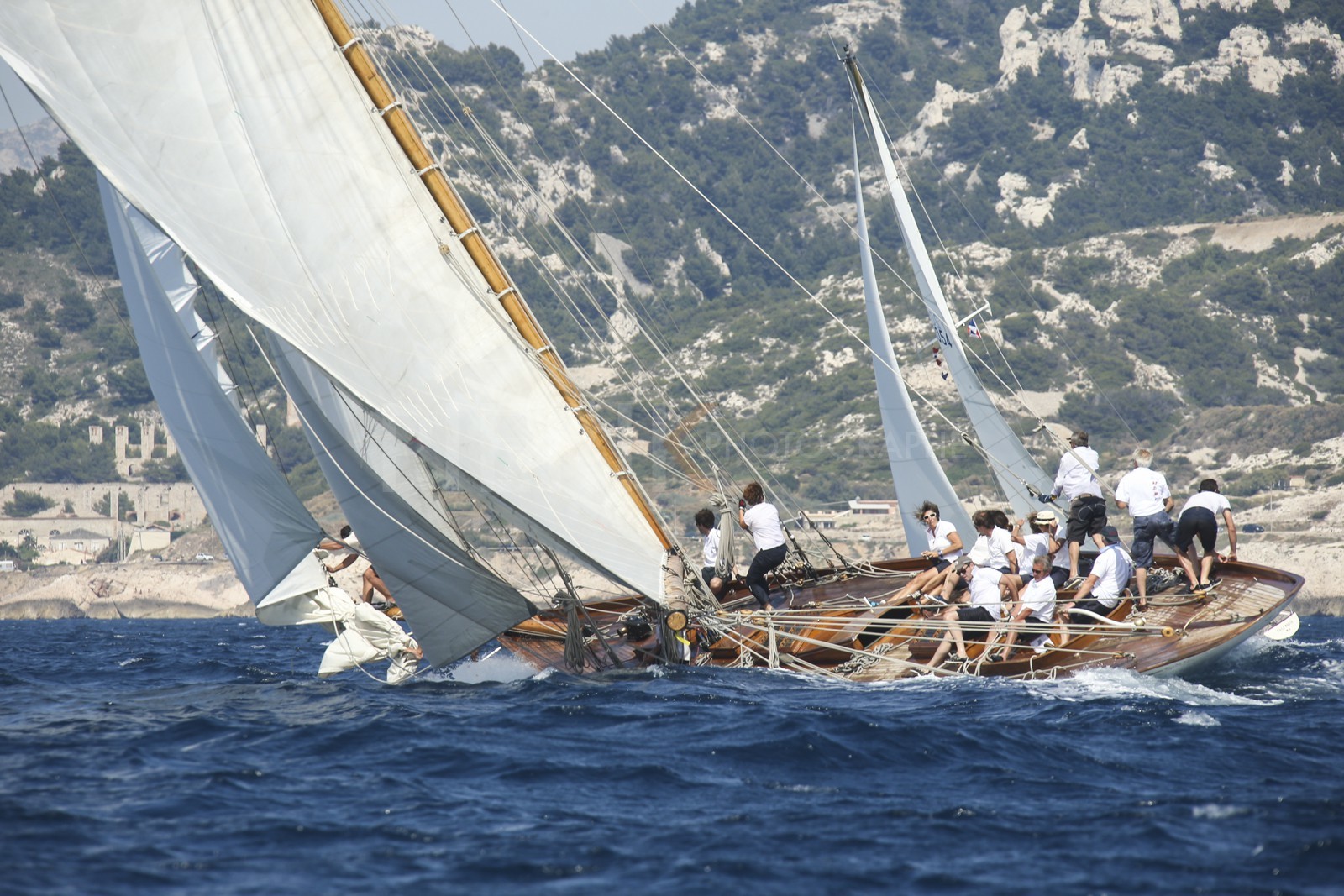 A29X1774.jpg