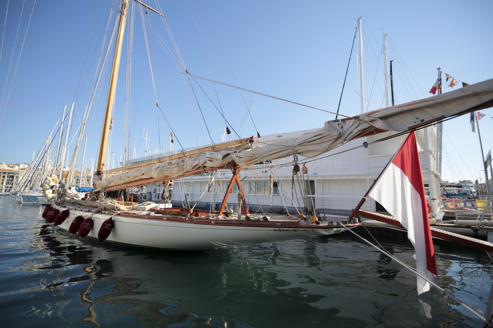 BL6A3602.jpg