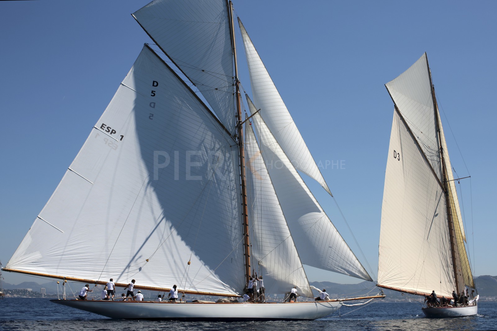 BL6A3906.jpg