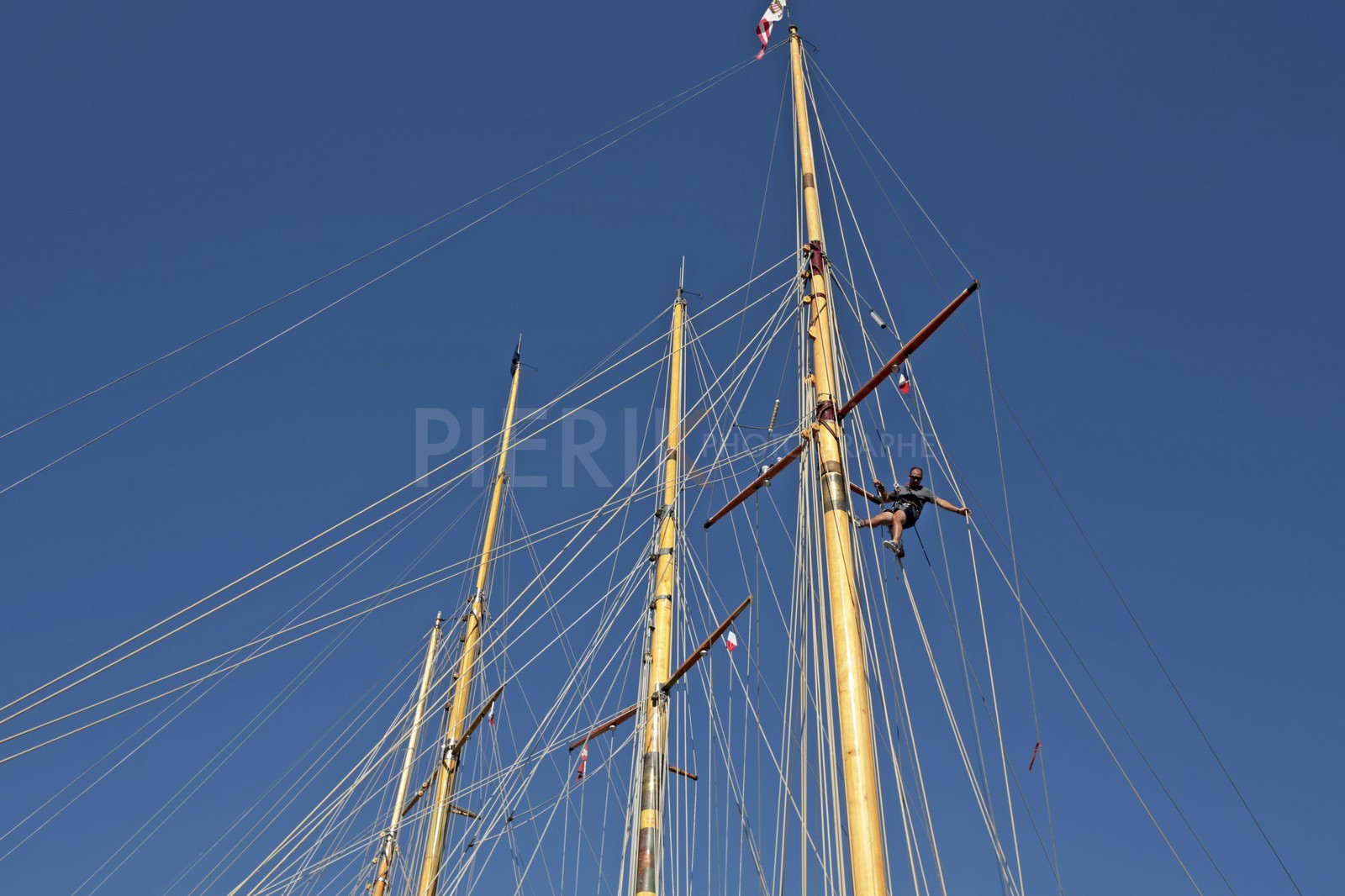 BL6A3623.jpg